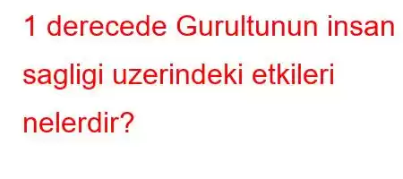 1 derecede Gurultunun insan sagligi uzerindeki etkileri nelerdir?