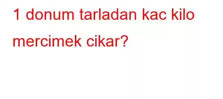 1 donum tarladan kac kilo mercimek cikar?