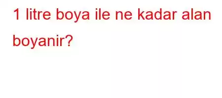 1 litre boya ile ne kadar alan boyanir