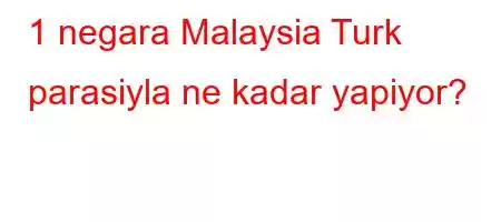 1 negara Malaysia Turk parasiyla ne kadar yapiyor?