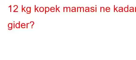 12 kg kopek mamasi ne kadar gider?