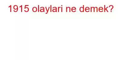 1915 olaylari ne demek?