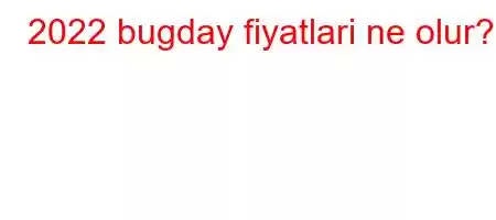 2022 bugday fiyatlari ne olur