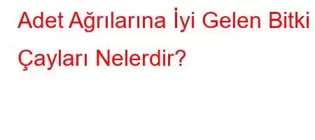 Adet Ağrılarına İyi Gelen Bitki Çayları Nelerdir?