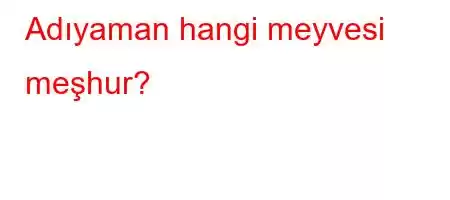 Adıyaman hangi meyvesi meşhur?