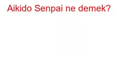 Aikido Senpai ne demek?