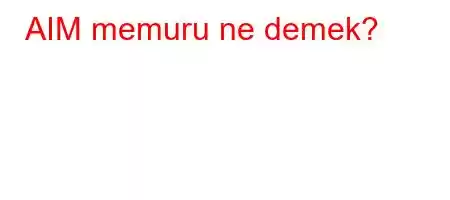 AIM memuru ne demek?