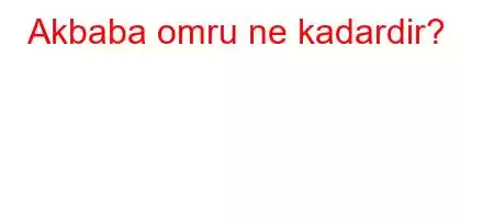 Akbaba omru ne kadardir