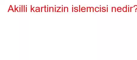 Akilli kartinizin islemcisi nedir?