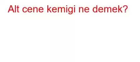 Alt cene kemigi ne demek?