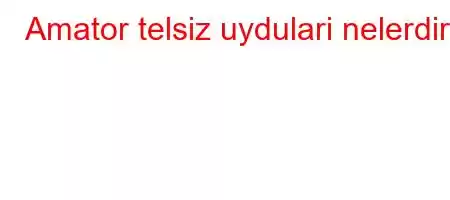 Amator telsiz uydulari nelerdir?