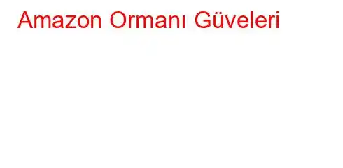 Amazon Ormanı Güveleri