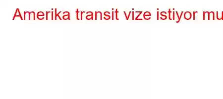 Amerika transit vize istiyor mu?