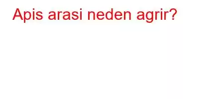 Apis arasi neden agrir?