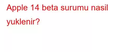 Apple 14 beta surumu nasil yuklenir