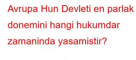 Avrupa Hun Devleti en parlak donemini hangi hukumdar zamaninda yasamistir?