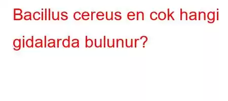 Bacillus cereus en cok hangi gidalarda bulunur?