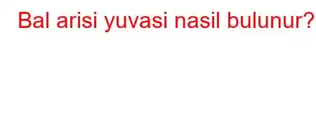 Bal arisi yuvasi nasil bulunur?