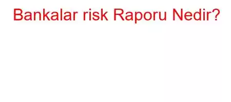 Bankalar risk Raporu Nedir