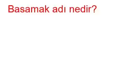 Basamak adı nedir?