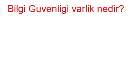 Bilgi Guvenligi varlik nedir?