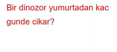 Bir dinozor yumurtadan kac gunde cikar