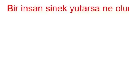 Bir insan sinek yutarsa ne olur?