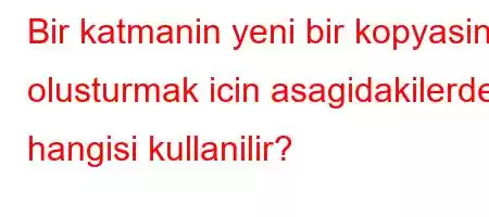 Bir katmanin yeni bir kopyasini olusturmak icin asagidakilerden hangisi kullanilir?