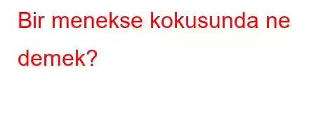 Bir menekse kokusunda ne demek?