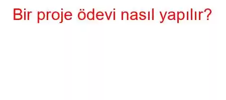 Bir proje ödevi nasıl yapılır?