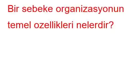 Bir sebeke organizasyonun temel ozellikleri nelerdir?