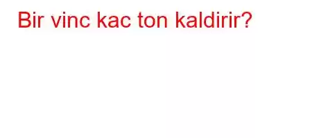 Bir vinc kac ton kaldirir?