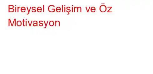 Bireysel Gelişim ve Öz Motivasyon