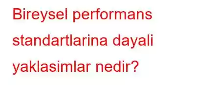 Bireysel performans standartlarina dayali yaklasimlar nedir