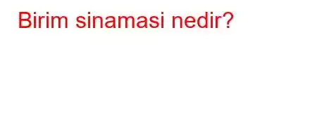 Birim sinamasi nedir