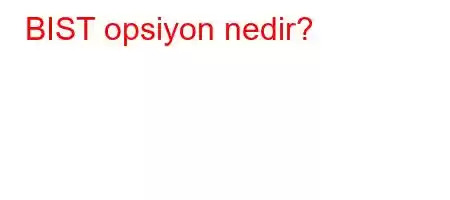 BIST opsiyon nedir?