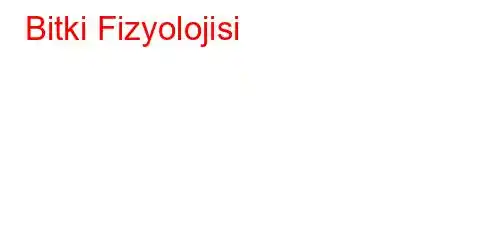 Bitki Fizyolojisi