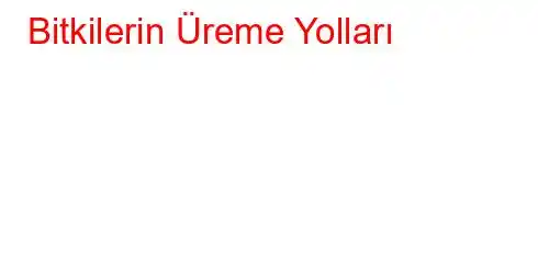 Bitkilerin Üreme Yolları