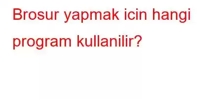 Brosur yapmak icin hangi program kullanilir?