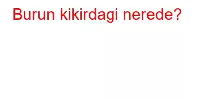 Burun kikirdagi nerede?