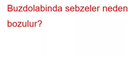 Buzdolabinda sebzeler neden bozulur