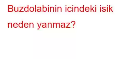 Buzdolabinin icindeki isik neden yanmaz?