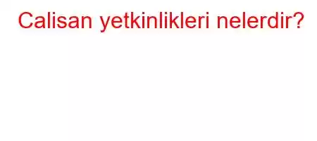 Calisan yetkinlikleri nelerdir?