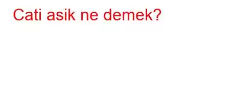 Cati asik ne demek?