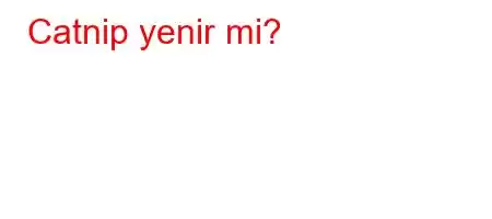 Catnip yenir mi?