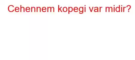 Cehennem kopegi var midir?