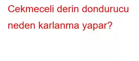 Cekmeceli derin dondurucu neden karlanma yapar?