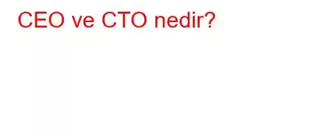 CEO ve CTO nedir?