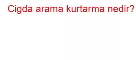 Cigda arama kurtarma nedir