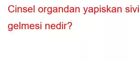 Cinsel organdan yapiskan sivi gelmesi nedir?